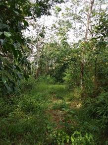 Tanah Pertanian Murah Di Kuala Klawang Jelebu Negeri Sembilan