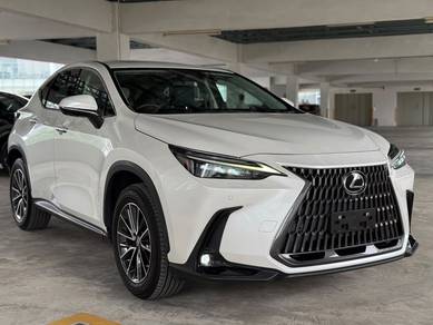 2022 Lexus NX250 2.5 BASE MODEL 3LED 4CAM SR GRD 4