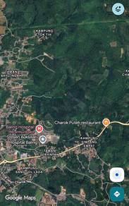 Kebun Getah Di Mukim Baling Untuk Dilepaskan