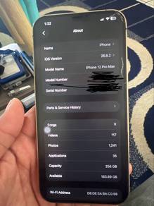 iphone 12 pro max 256