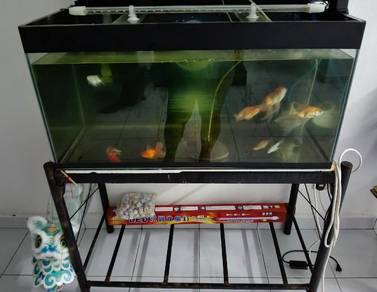 3.5ft aquarium