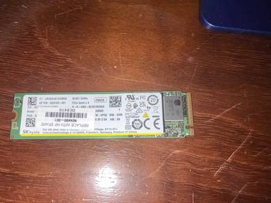SK Hynix/Sandisk NVME PCI Express Gen4 SSD
