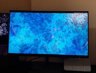 HP Z24f G3 24 inch Monitor