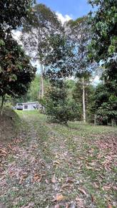 Agricultural-Land-for-sale-Hulu-Langat-Selangor