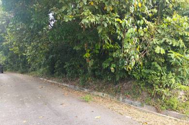 Agricultural-Land-for-sale-Kuala-Pilah-Negeri-Sembilan