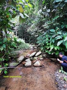 KK Kokol (Mountain View) Vacant  Land NT 12.34acs (((For Sale)))