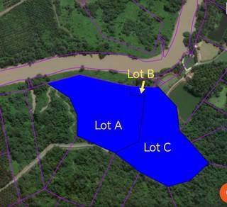 Land at 29th Mile for Sale – with fruit trees including durian trees
