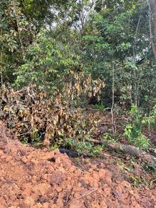 Residential-Land-for-sale-Pekan-Nanas-Johor