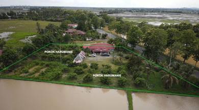 Tanah Kampung, Rumah dan Bendang untuk dijual