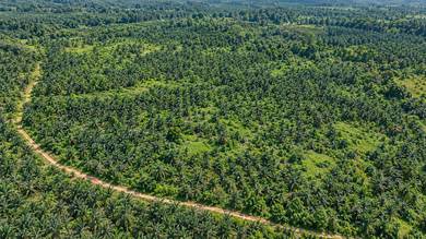 Industrial-Land-for-sale-Seberang-Perai-Penang