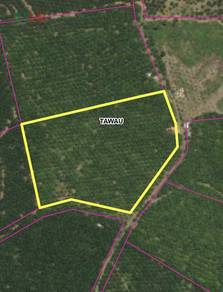 Agricultural-Land-for-sale-Tawau-Sabah