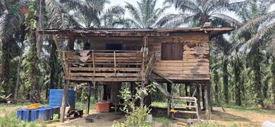 A piece of agricultural Land, Ulu Kalumpang, Jalan Bukit Mull, Tawau