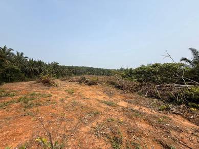 Tanah Pertanian Di Mukim Pekan Labu Besar, Kulim, Kedah