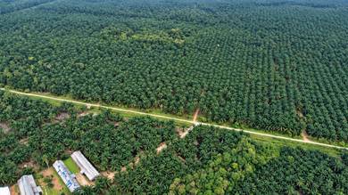 Industrial-Land-for-sale-Pekan-Nanas-Johor-2