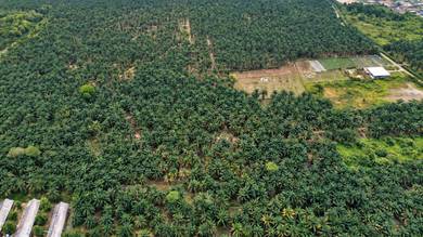Industrial-Land-for-sale-Pekan-Nanas-Johor