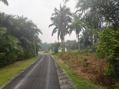 Farming and agriculture land with house and store 
