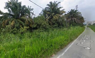 Tanah Pertanian Tepi Sungai Chincang, Salak