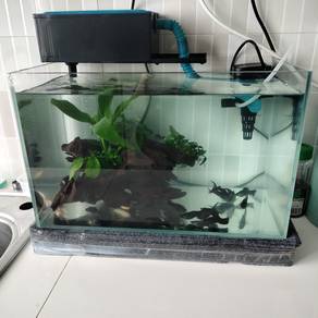 Complete Aquarium Set 
