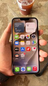 iPhone 13 Pro Max 256GB