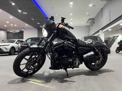 2020 Harley Davidson Iron 883 1HD Ready To View