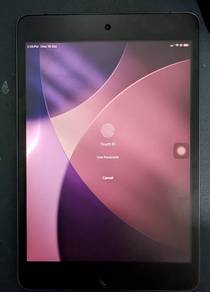 ipad mini 5 wifi cellular 256gb