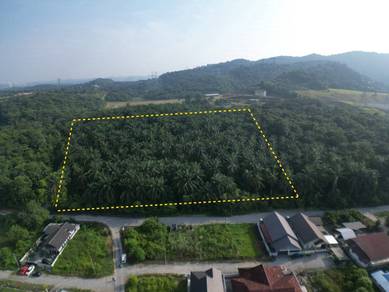 Agricultural-Land-for-sale-Bangi-Selangor