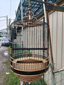 Sangkar Murai/Burung