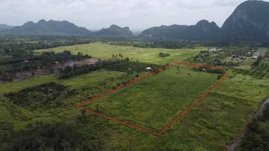 Agricultural-Land-for-sale-Kangar-Perlis