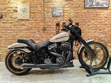 Harley Davidson Breakout|Bassani|Arlen Ness|14kKM