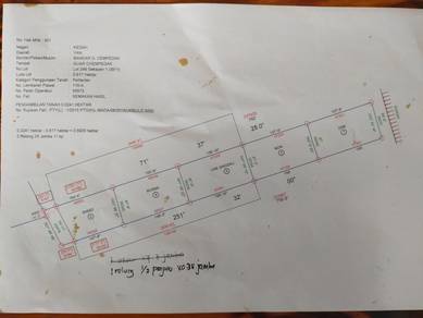 Agricultural-Land-for-sale-Yan-Kedah