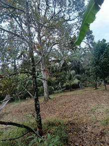 Agricultural-Land-for-sale-Parit-Perak