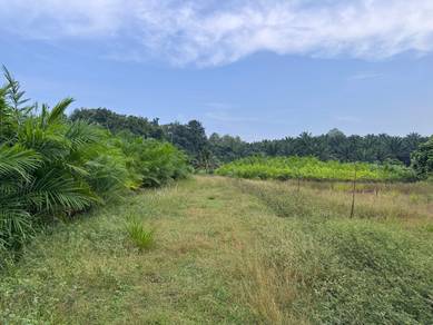 Industrial-Land-for-sale-Tawau-Sabah