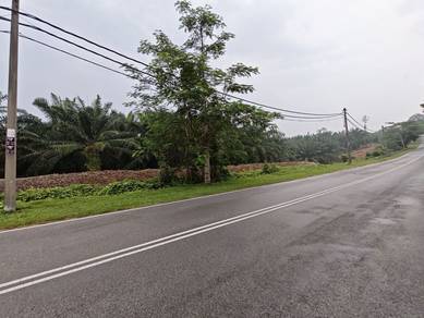 Main Road Freehold Agriculture Land Kesang, Jasin Melaka
