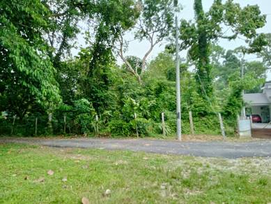 Agricultural-Land-for-sale-Pekan-Pahang