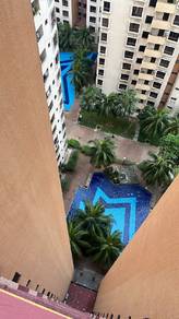Palm Spring @ Damansara