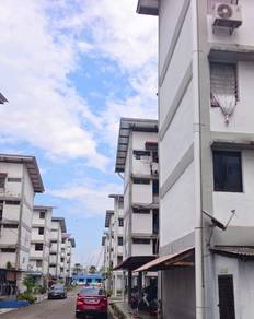 Stulang Laut
