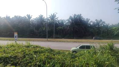 Agricultural-Land-for-sale-Kota-Tinggi-Johor