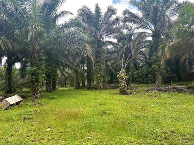 Tanah Kelapa Sawit, Store, Kolam Ikan Jalan Mawai Kota Tinggi Johor