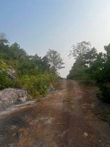 Agricultural-Land-for-sale-Segamat-Johor