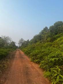 100 ekar Tanah Pertanian Dalam Zoning Industri Segamat Johor