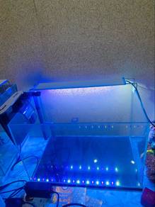 aquarium