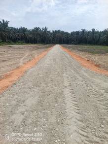 Agricultural-Land-for-sale-Serdang-Kedah