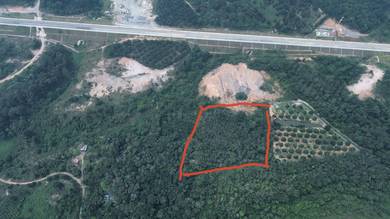 Agricultural-Land-for-sale-Temerloh-Pahang