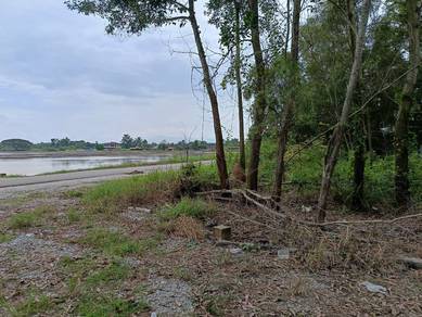 Tanah Lot Di Lahar Tabut, Penaga Untuk Dijual - 2 Lot