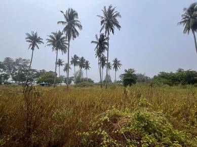 Agricultural-Land-for-sale-Kota-Tinggi-Johor
