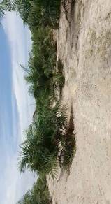 Agricultural-Land-for-sale-Lumut-Perak