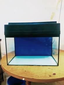 2ft aquarium, hood 