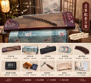  Traditional Chinese musical instruments