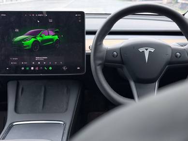 Tesla MODEL Y 10.0 LONG RANGE AWD (A)