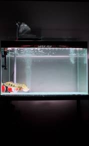 3FT Akuarium Full Set